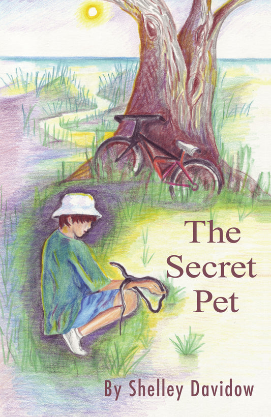 The Seret Series: Shelley Davidow chapter book bundle