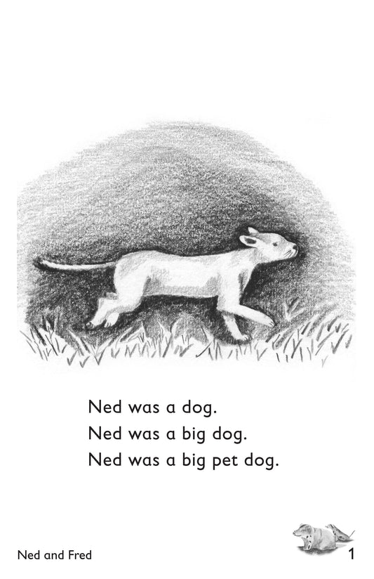 Ned and Fred: Book 2