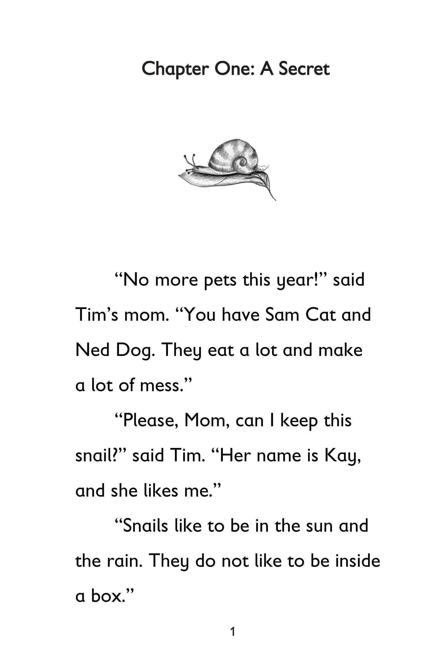 The Secret Pet: Book 1