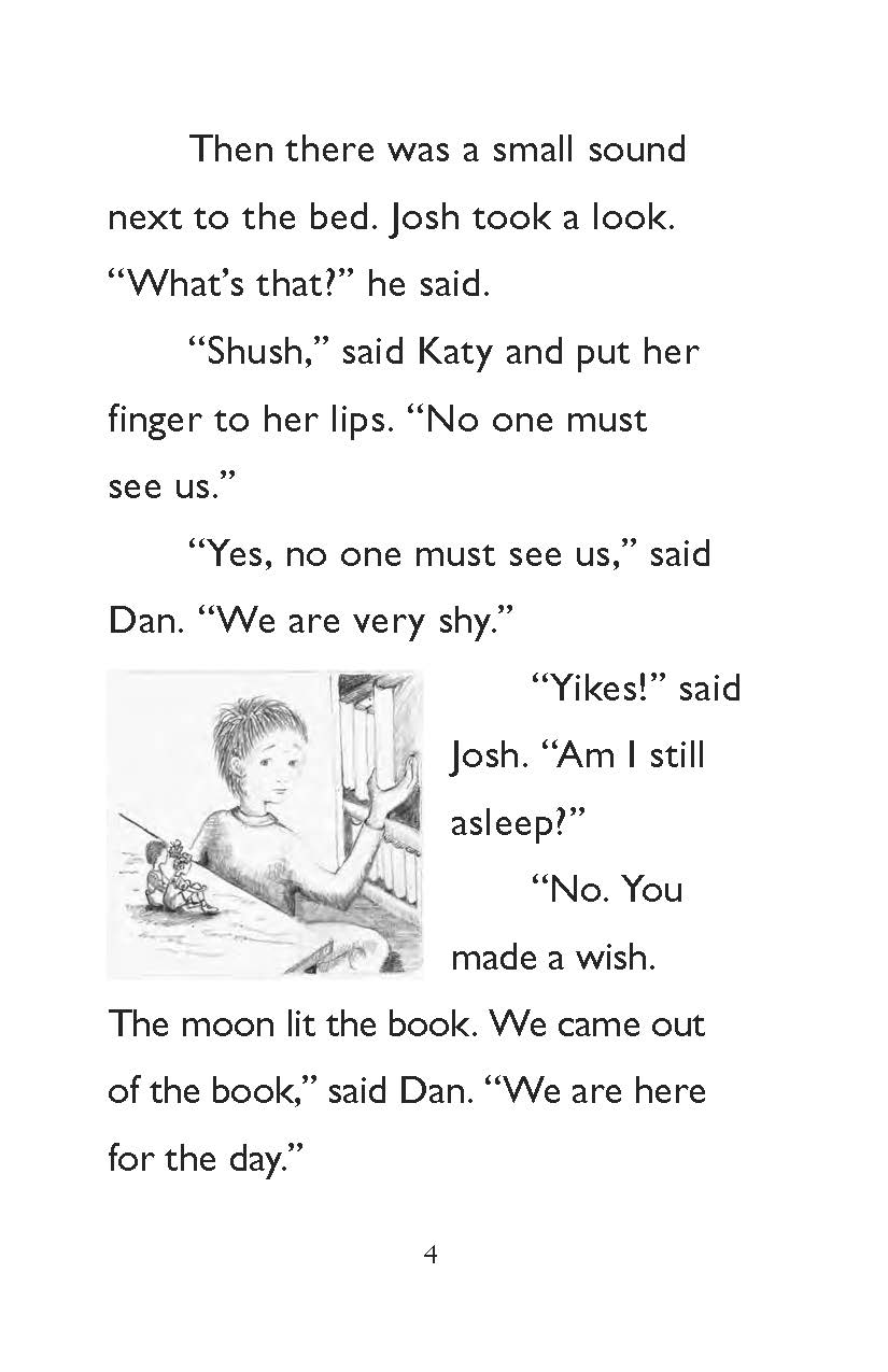 The Secret Wish: Book 3