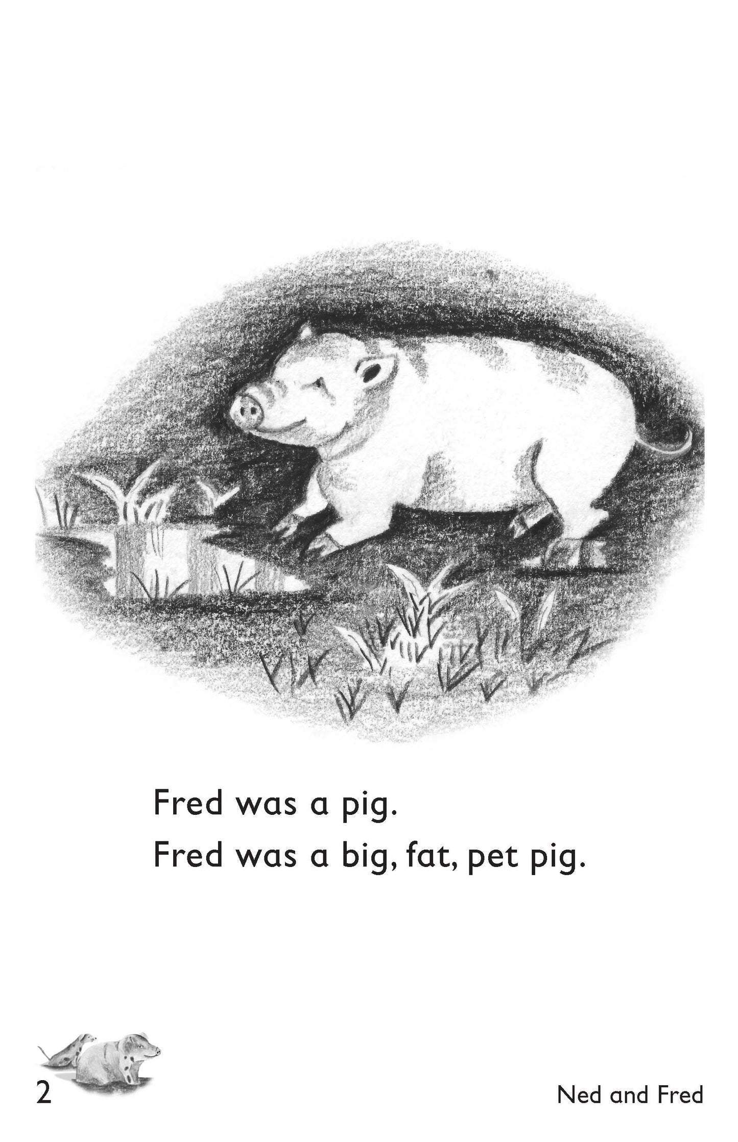 Ned and Fred: Book 2