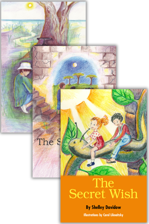 The Seret Series: Shelley Davidow chapter book bundle