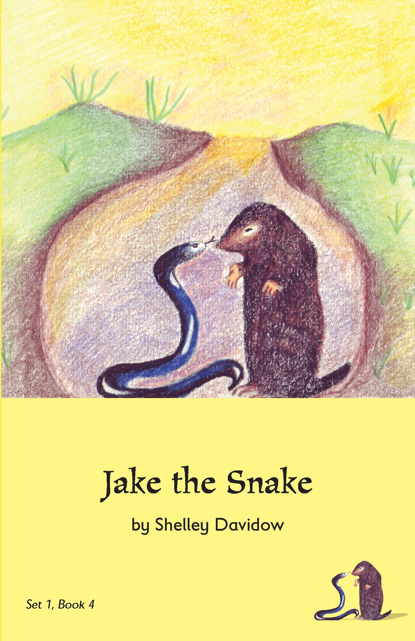 Early Phonetic Readers by Shelley Davidow bundle